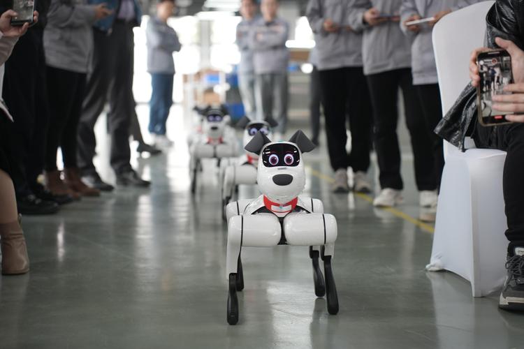 昨天机器人babyq做了什么？-第3张图片-广州国自机器人