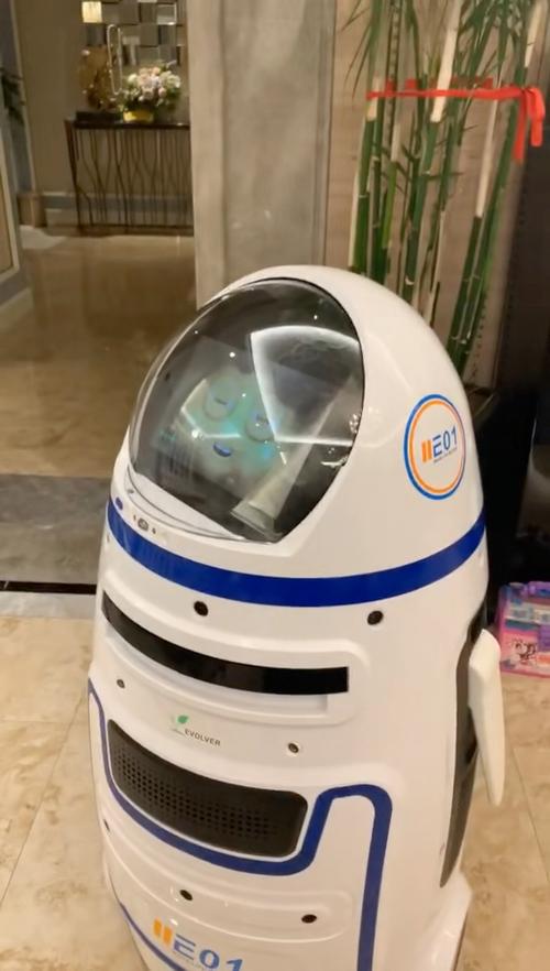 4999元小胖机器人值不值得买？-第3张图片-广州国自机器人
