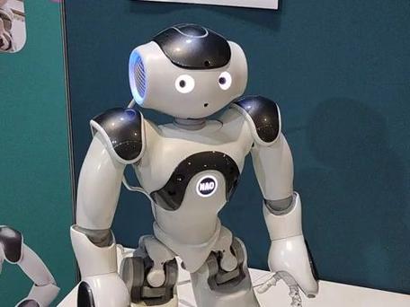 nao智能机器人图片有何独特之处？-第3张图片-广州国自机器人