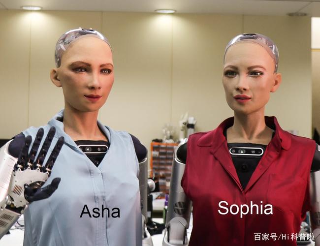 索菲亚机器人制造公司-第2张图片-广州国自机器人