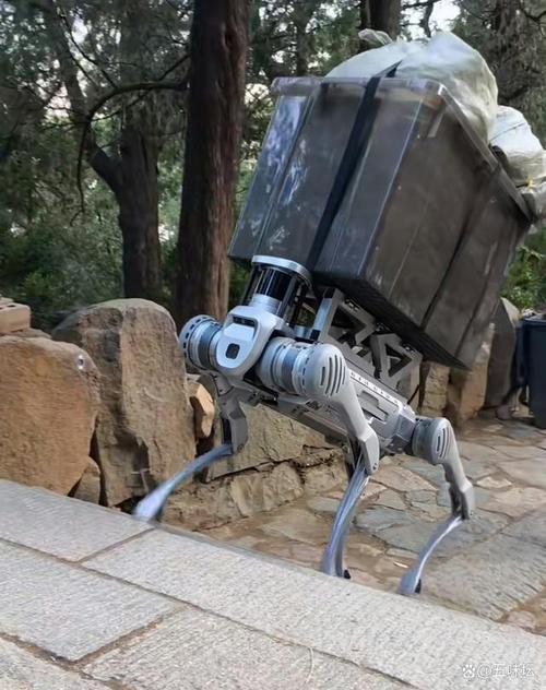 中国山狗行走机器人有何突破？-第1张图片-广州国自机器人