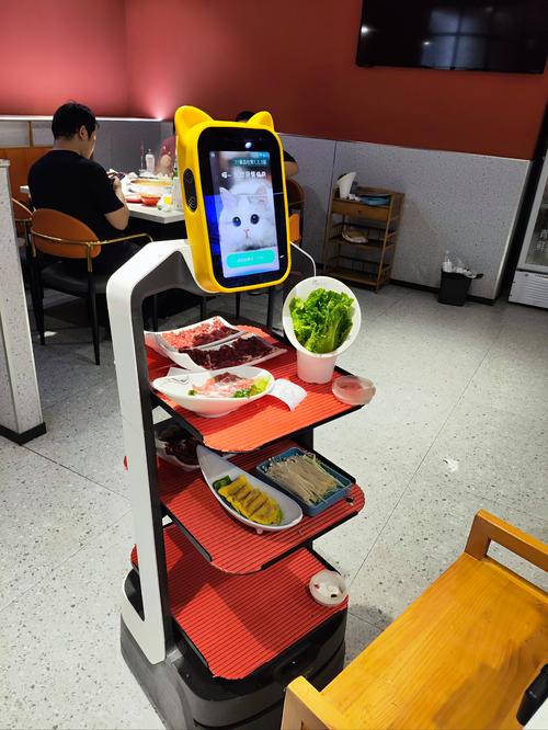 AI煲仔饭机器人郑州如何做煲仔饭？-第2张图片-广州国自机器人