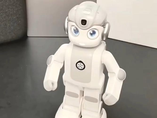 悟空机器人 物体识别-第3张图片-广州国自机器人