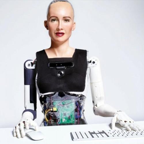 索菲亚成机器人公民，是进步还是风险？-第1张图片-广州国自机器人