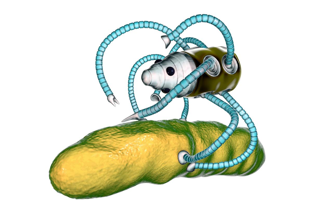 新型DNA纳米机器人如何突破医疗瓶颈？-第3张图片-广州国自机器人