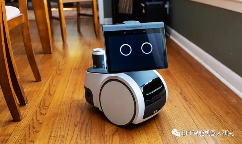 亚马逊AI核心人员有哪些？-第3张图片-广州国自机器人