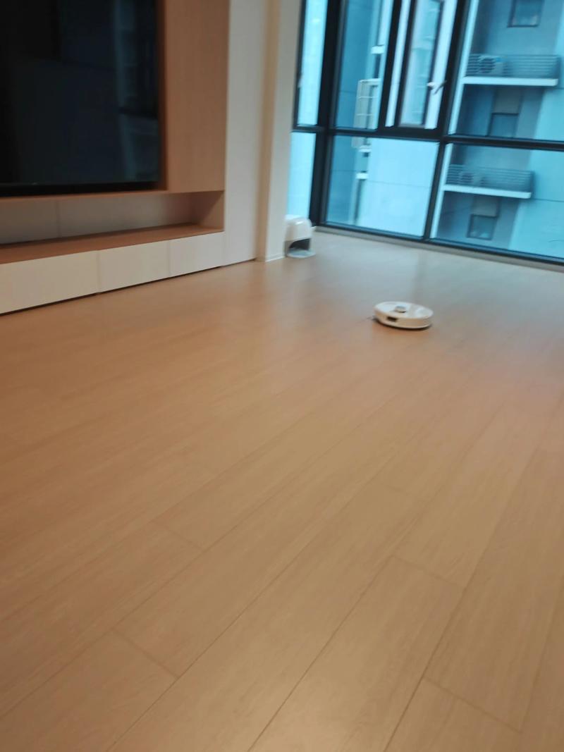 石头机器人充电19%后还能正常工作吗？-第2张图片-广州国自机器人