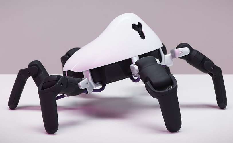 hexa机器人结构有何独特设计？-第2张图片-广州国自机器人