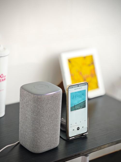 智能音箱算人工智能吗？-第1张图片-广州国自机器人