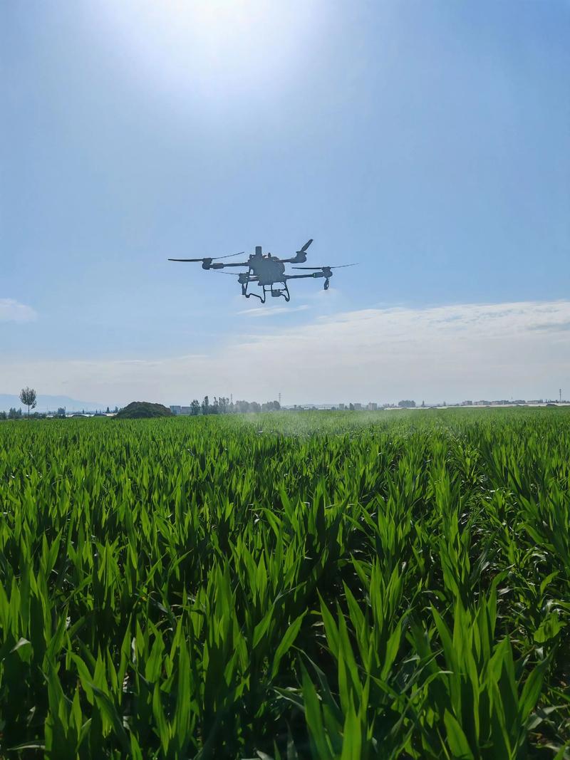 无人机在农业应用前景如何?-第2张图片-广州国自机器人 无人机在农业应用前景如何?-第2张图片-广州国自机器人