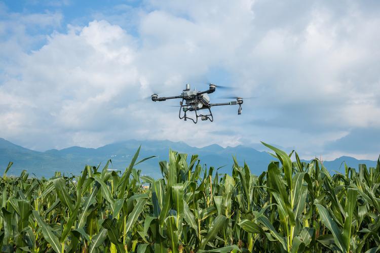 无人机在农业应用前景如何?-第3张图片-广州国自机器人 无人机在农业应用前景如何?-第3张图片-广州国自机器人