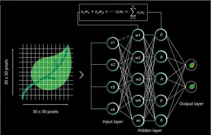 人工神经网络与人工智能有何关联？-第3张图片-广州国自机器人