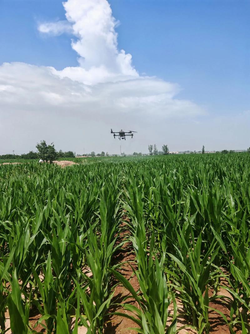 2025年植保无人机如何改变农业？-第2张图片-广州国自机器人