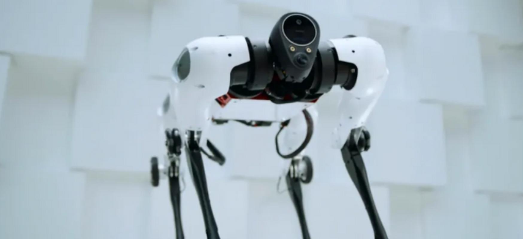 Max机器人没反应怎么办？-第3张图片-广州国自机器人