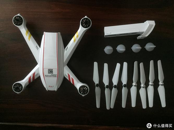 黄蜂无人机有何独特性能或用途？-第2张图片-广州国自机器人