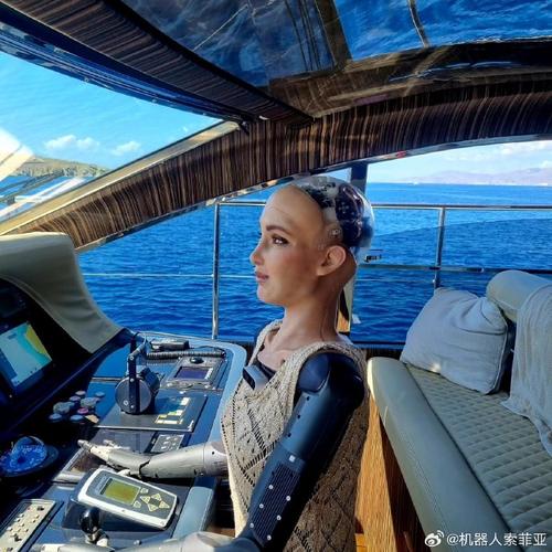 机器人索菲亚为何现身央视？-第1张图片-广州国自机器人