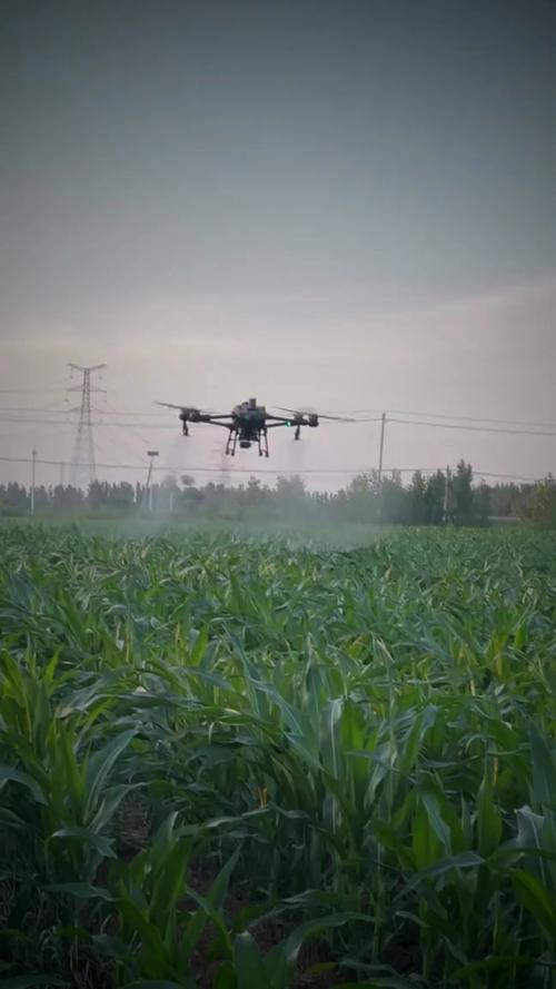 无人机打农药将如何发展？-第3张图片-广州国自机器人