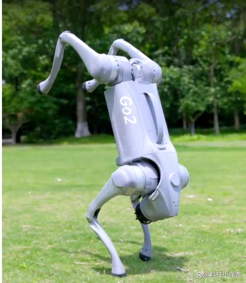 狗尾草琥珀机器人如何实现仿生运动？-第2张图片-广州国自机器人