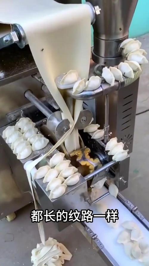 秦皇岛机器人包水饺?科技与美食碰撞了?-第1张图片-广州国自机器人 秦皇岛机器人包水饺?科技与美食碰撞了?-第1张图片-广州国自机器人