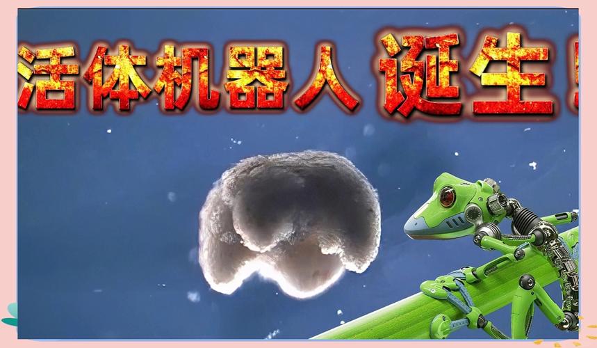 青蛙细胞活体机器人是啥？能干啥？-第3张图片-广州国自机器人