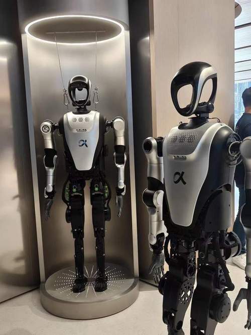 杭州阿尔法机器人背后有何玄机？-第1张图片-广州国自机器人