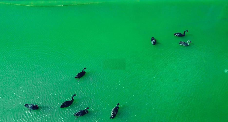 无人机如何实现水面停留？-第1张图片-广州国自机器人