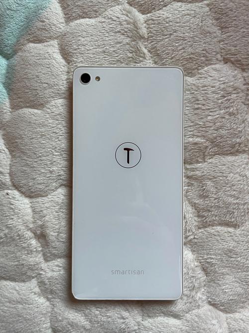 锤子手机语音机器人有何独特功能？-第1张图片-广州国自机器人