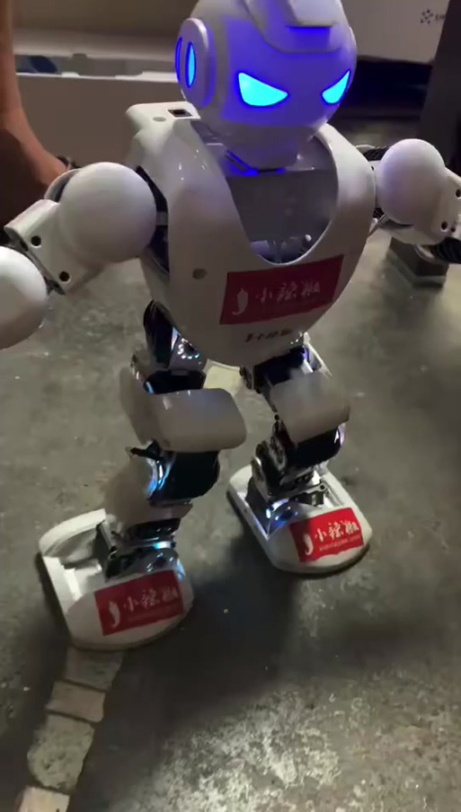 阿尔法机器人是哪个国家的?-第2张图片-广州国自机器人 阿尔法机器人是哪个国家的?-第2张图片-广州国自机器人