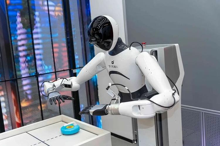 爱因斯坦机器人怎么买？哪里能买到正品？-第3张图片-广州国自机器人