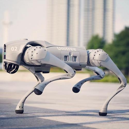 仿生无人机，仿生学如何赋能无人机？-第2张图片-广州国自机器人