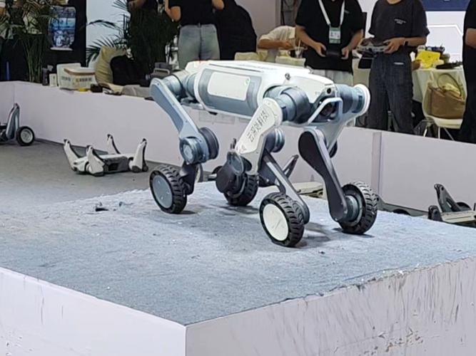 CC2025人工智能将如何重塑未来？-第1张图片-广州国自机器人