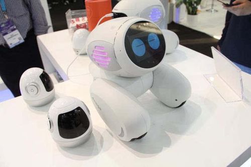 domgo机器人有哪些核心功能？-第2张图片-广州国自机器人