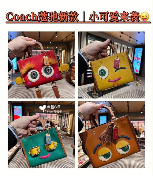 Coach机器人钥匙有何独特功能？-第3张图片-广州国自机器人