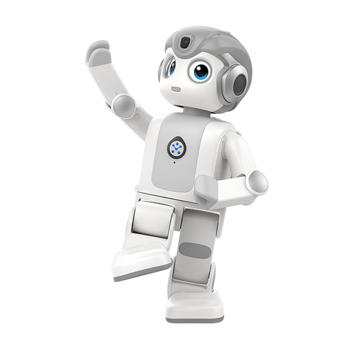 alpha机器人价格多少？-第3张图片-广州国自机器人