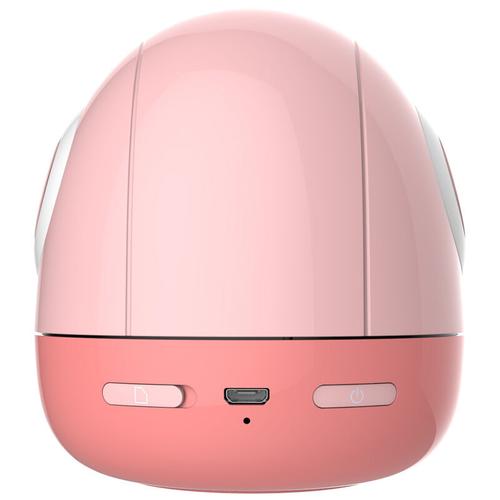 布丁机器人roobo是智能助手还是玩伴？-第2张图片-广州国自机器人