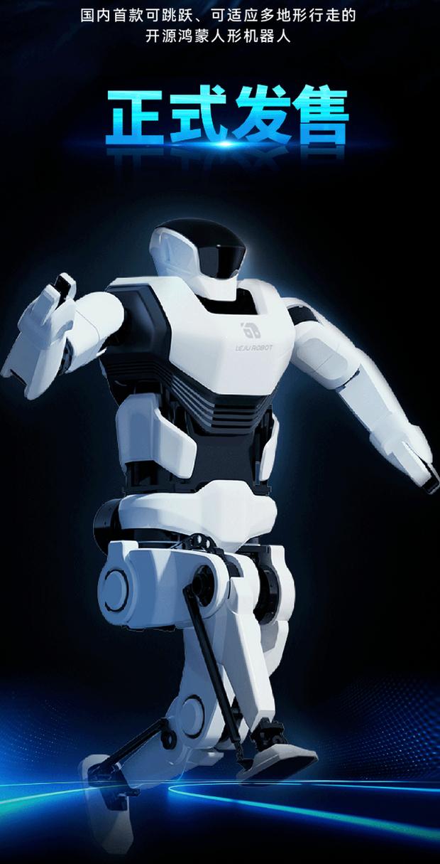 乐聚人工智能 机器人-第3张图片-广州国自机器人