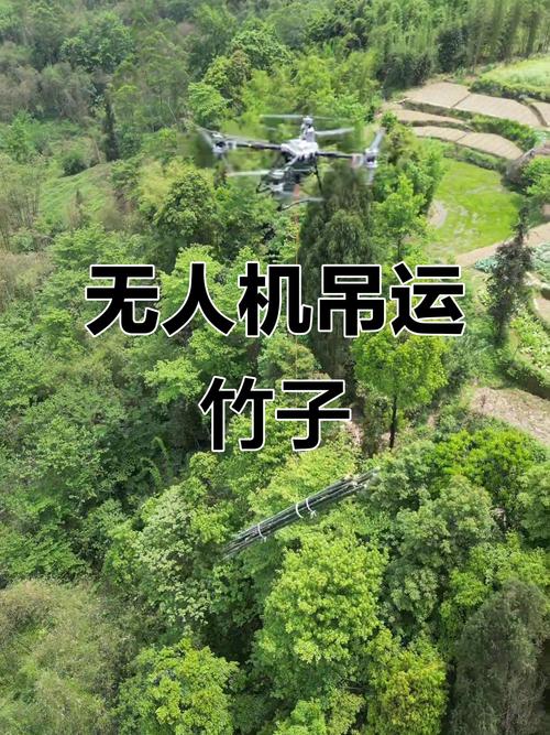 大疆无人机如何吊起重物？-第1张图片-广州国自机器人