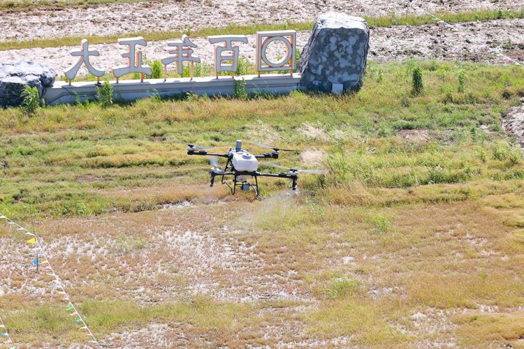 无人机农业植保现场会效果如何？-第1张图片-广州国自机器人