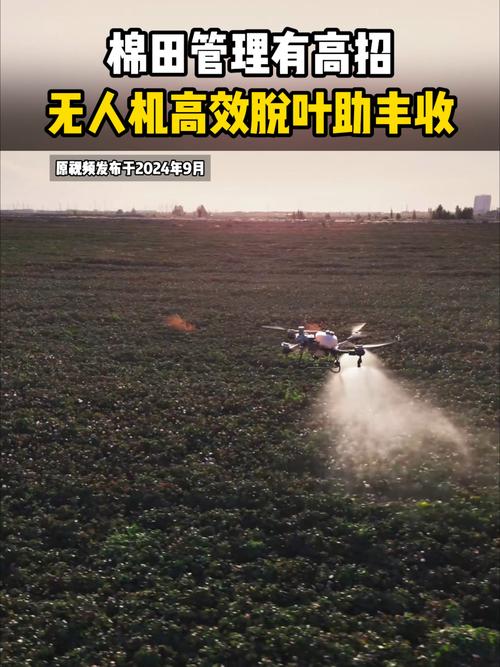 无人机脱叶要注意哪些问题？-第1张图片-广州国自机器人