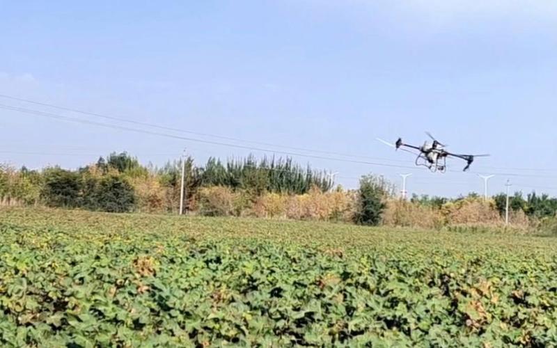 无人机脱叶要注意哪些问题？-第2张图片-广州国自机器人