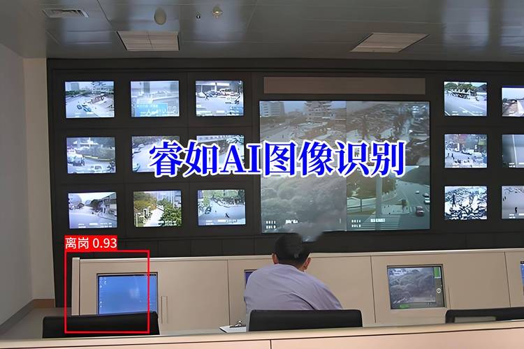 嵌入式AI抓拍识如何高效精准？-第3张图片-广州国自机器人