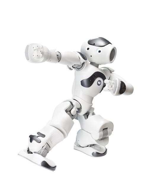 nao机器人怎么入门？-第1张图片-广州国自机器人