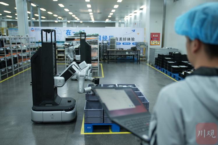 机器人OEM工厂的核心优势是什么？-第2张图片-广州国自机器人