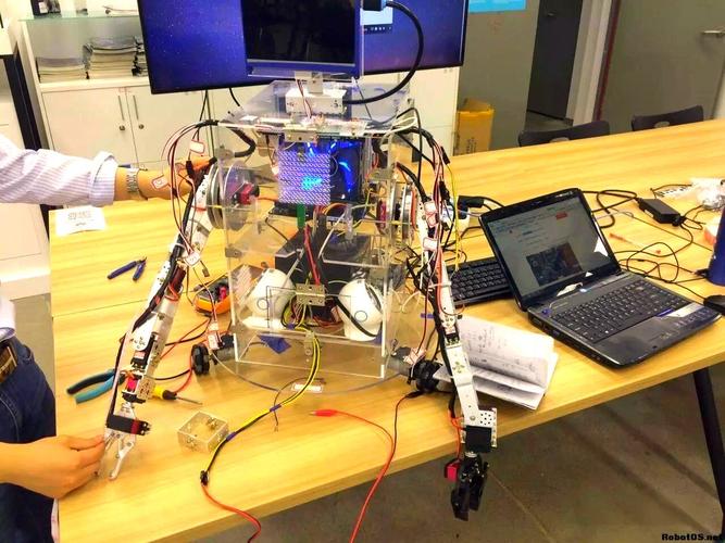 全运会机器人YOYO有何亮眼表现？-第2张图片-广州国自机器人