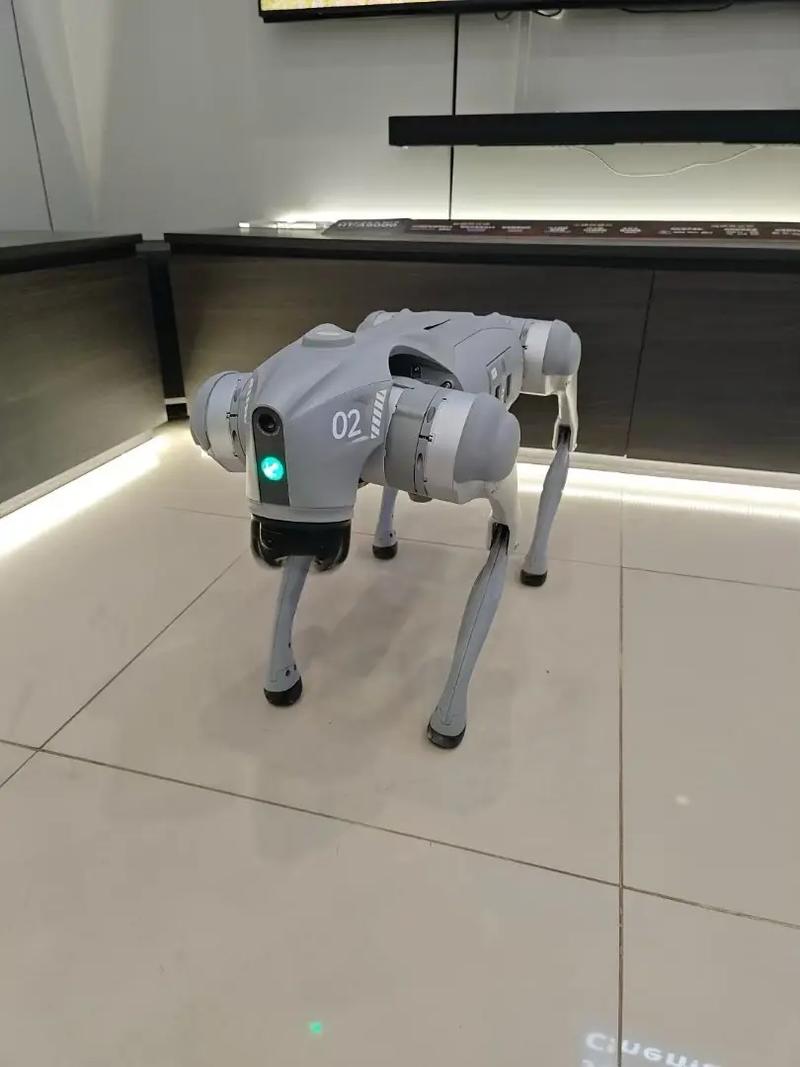 人工智能外脑哪里能买到？-第2张图片-广州国自机器人