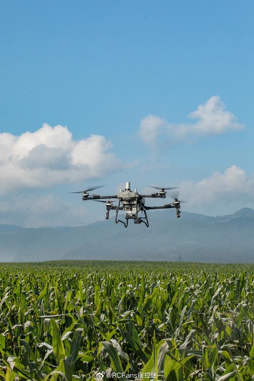 一千多的无人机那个好-第3张图片-广州国自机器人