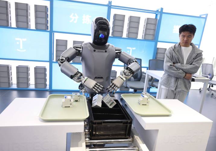 北京roobo机器人有何独特功能？-第1张图片-广州国自机器人