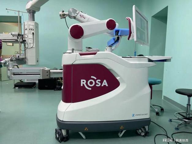 法国 rosa 机器人有何独特功能？-第1张图片-广州国自机器人