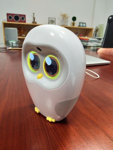 luka ai机器人-第1张图片-广州国自机器人