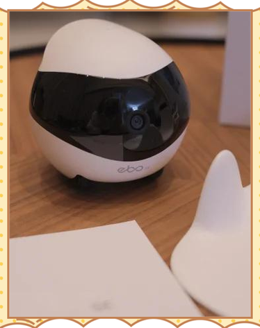 阿尔法ebot机器人有何独特功能?-第1张图片-广州国自机器人 阿尔法ebot机器人有何独特功能?-第1张图片-广州国自机器人